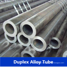 China Seamless Uns S22053 25073 22253 Duplex Stainless Steel Pipe/Tube